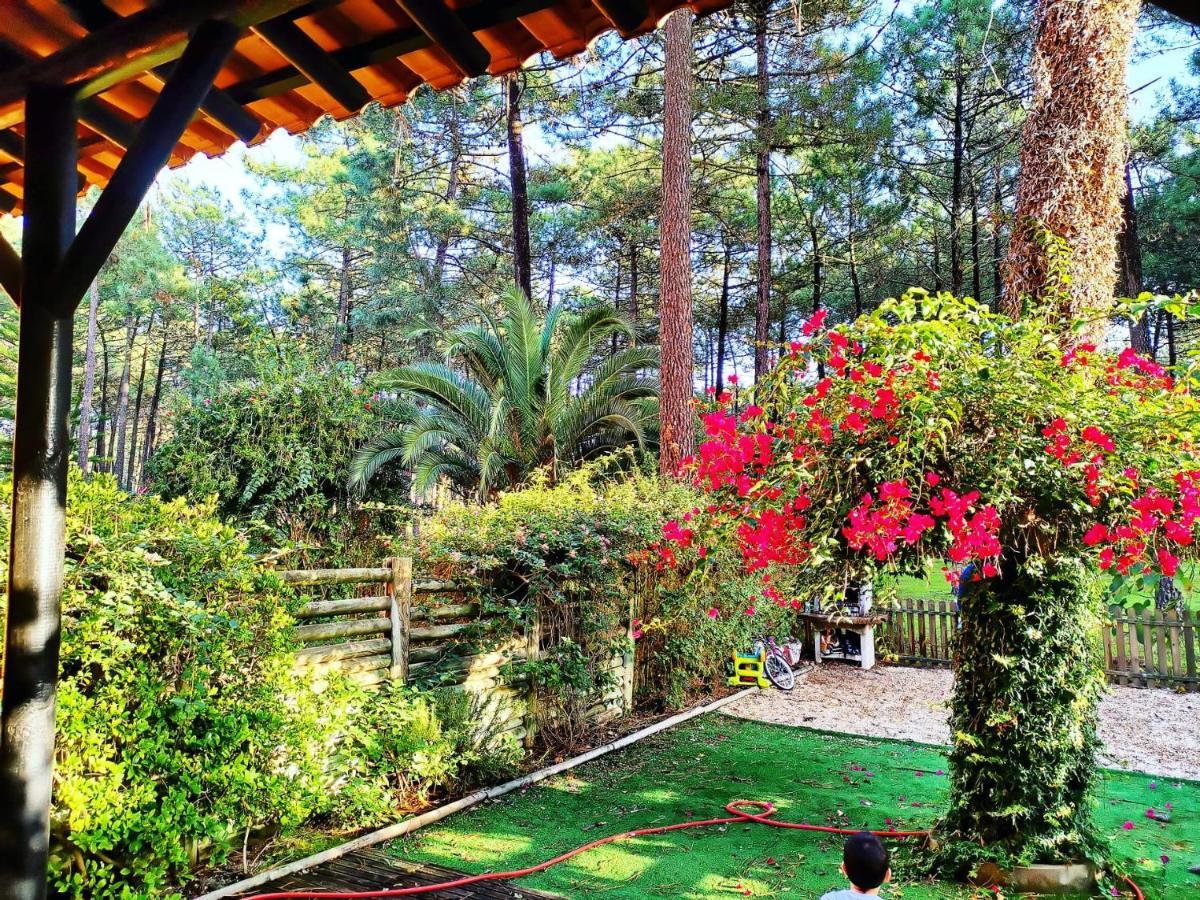 Dolphin Aroeira Beach Villa Charneca  Exterior foto